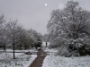 tootingsnow1