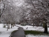 tootingsnow11