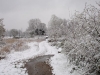 tootingsnow4