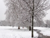 tootingsnow5
