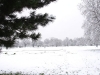 tootingsnow6