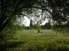 tooting-common1