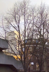 Senate House Library in Russell Square