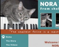 Nora the piano playing cat has her own website. 