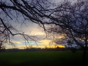 Tooting Bec Common, Christmas Day 2013