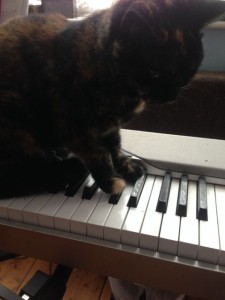 Picture of cat on a piano to accompany article on music for stretching