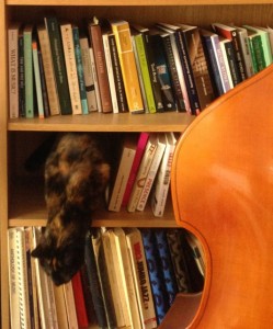 Cat jumping out of the music section of my bookshelves, to illustrate tempo article